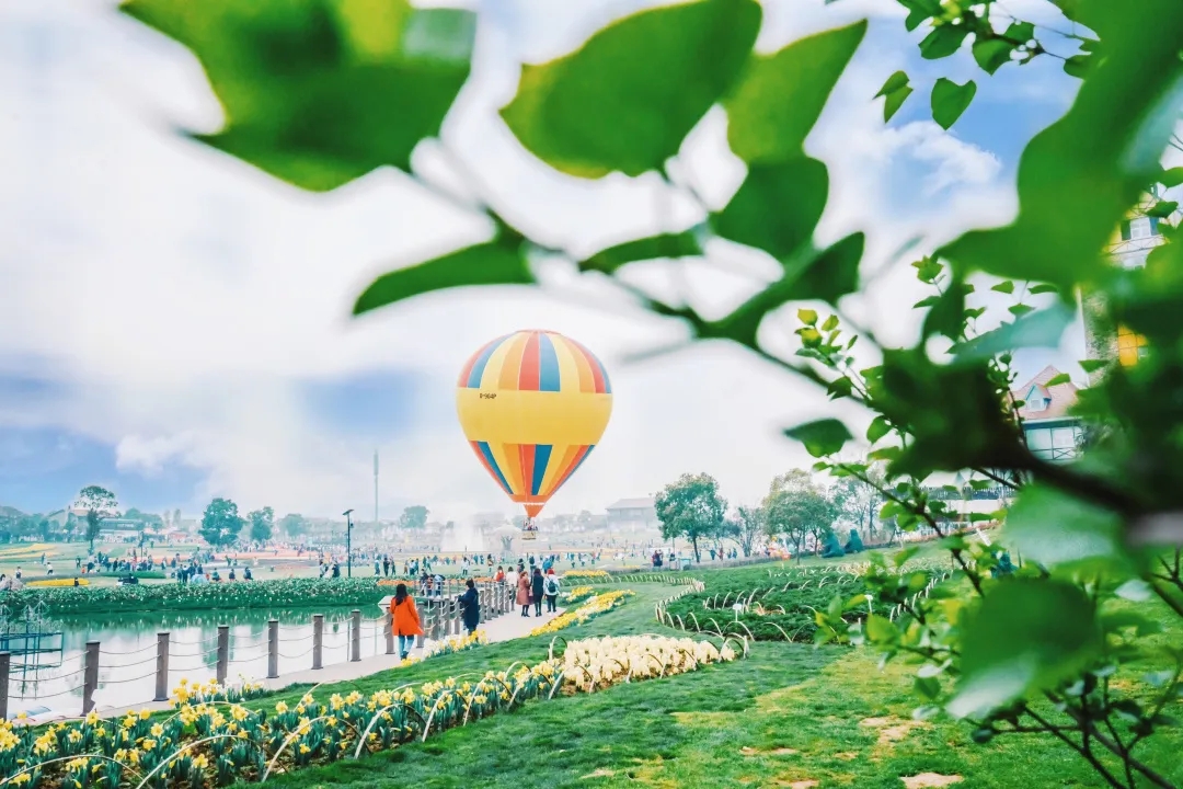 莫尔空间花博汇一店