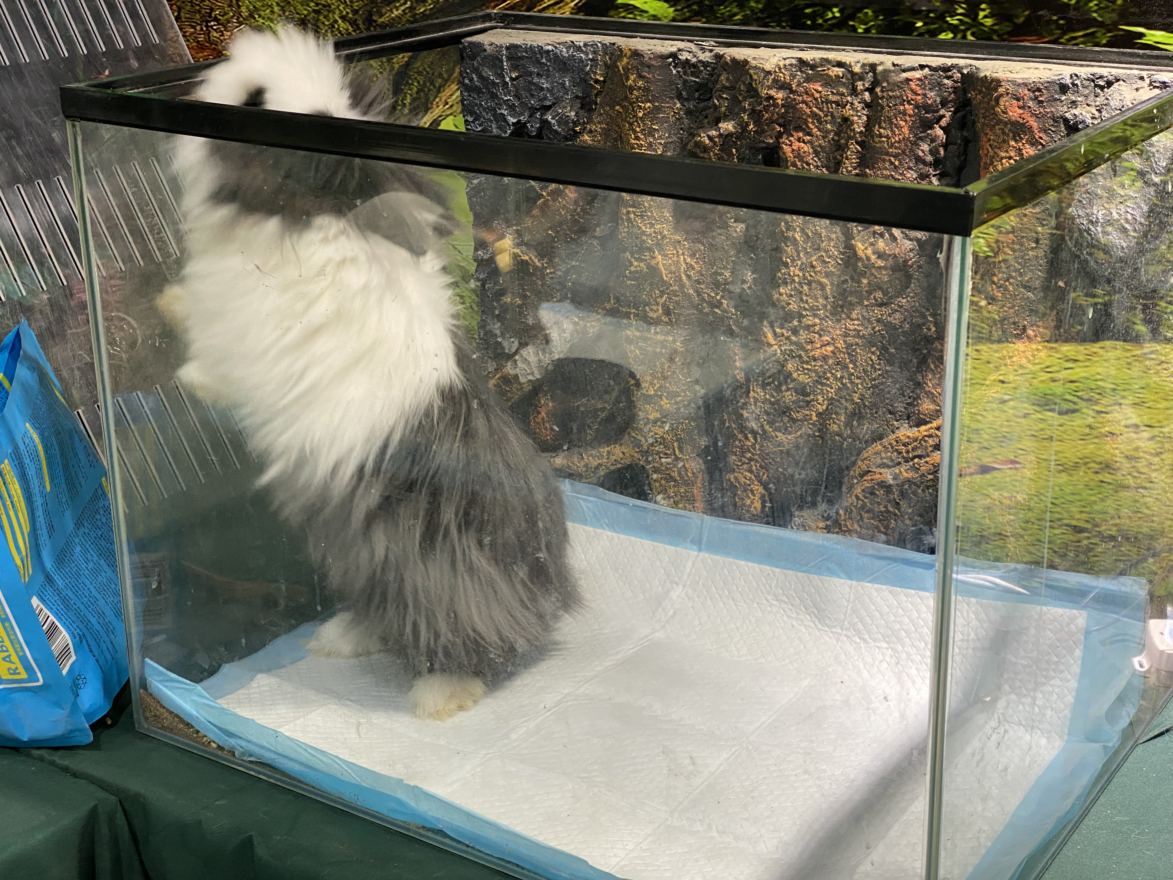爬行动物展览