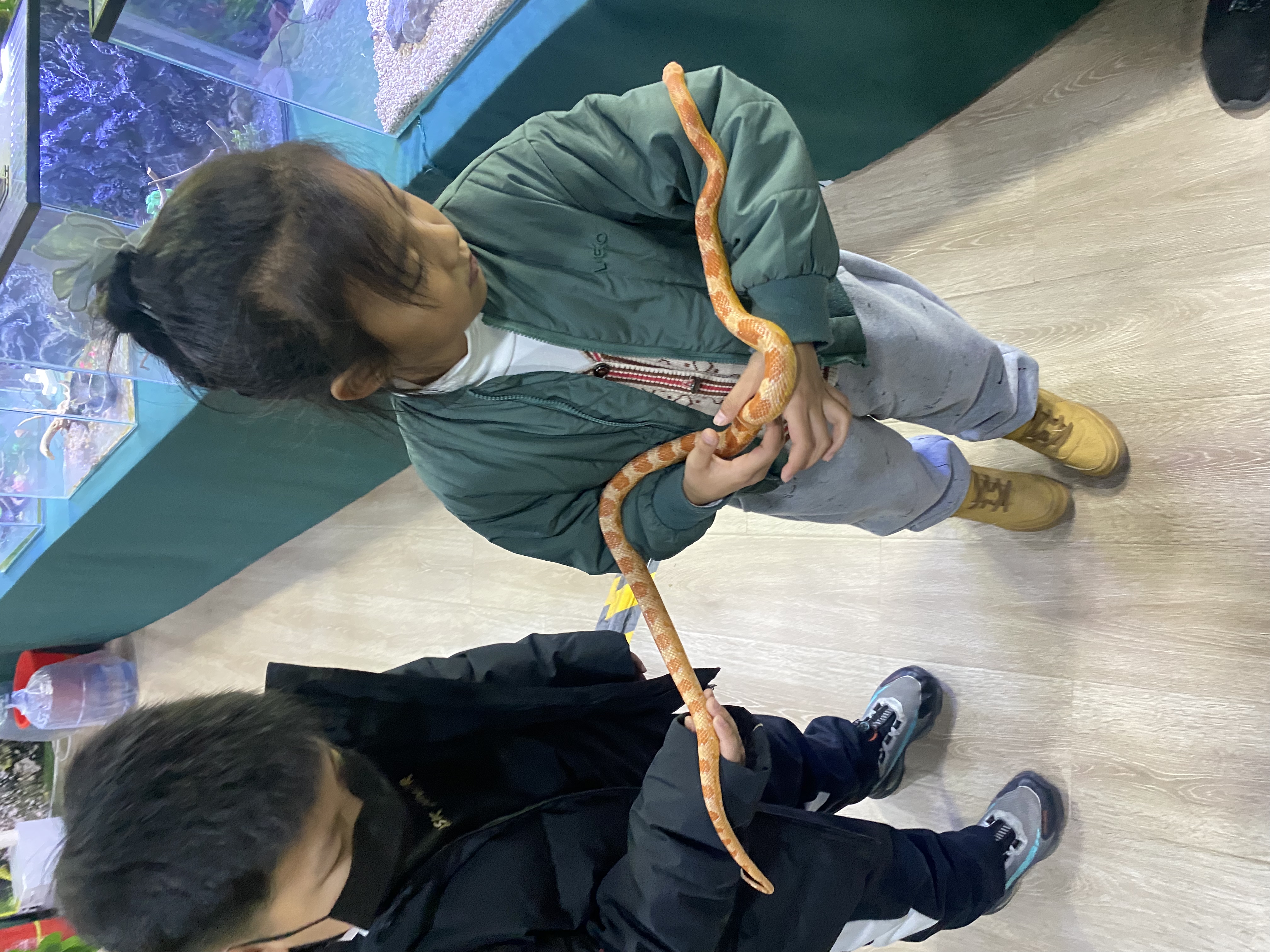 爬行动物展览