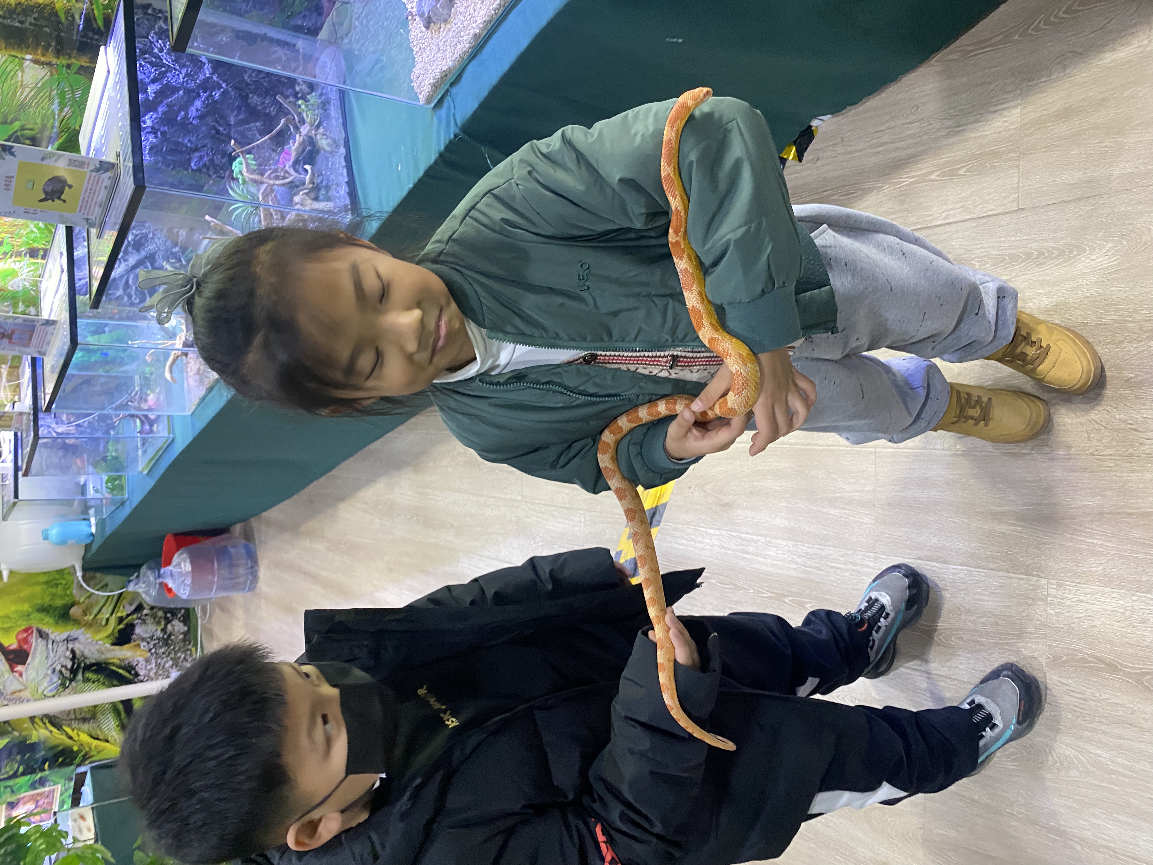 爬行动物展览