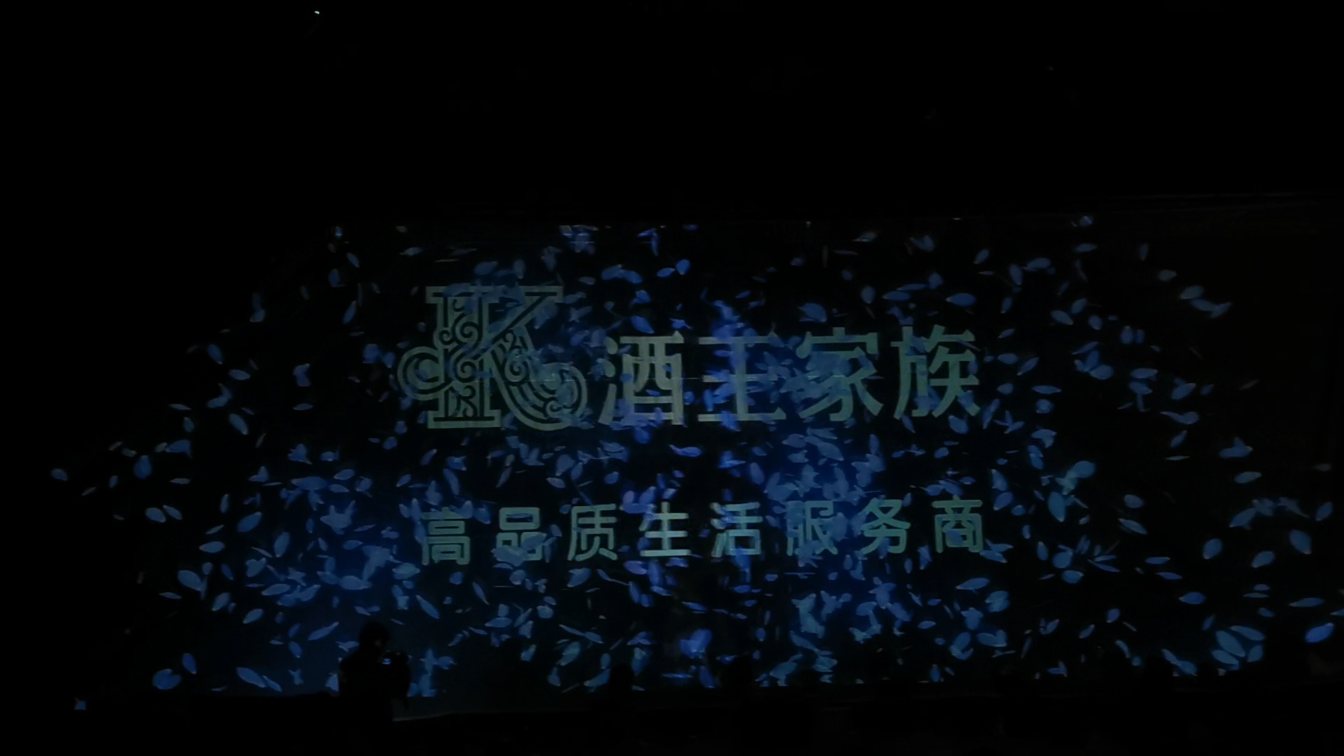 全息花之魅