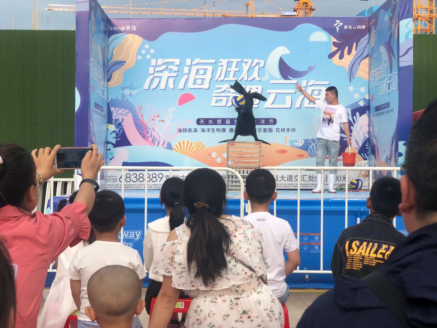 海狮展演