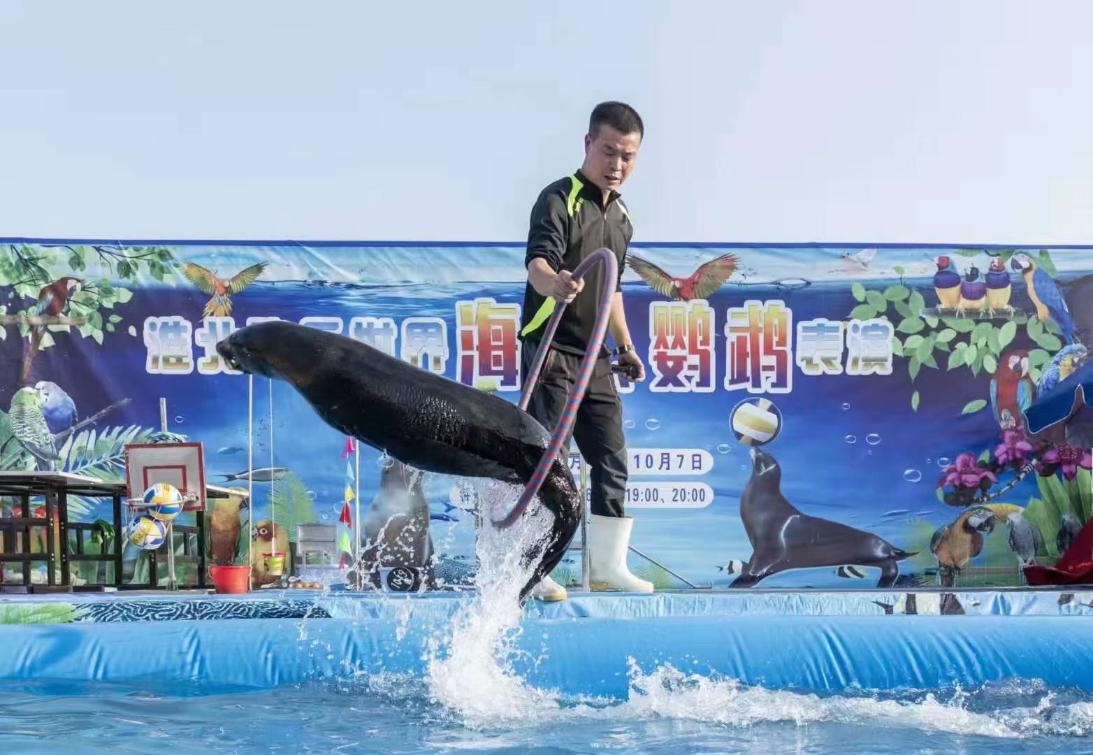 海狮展演