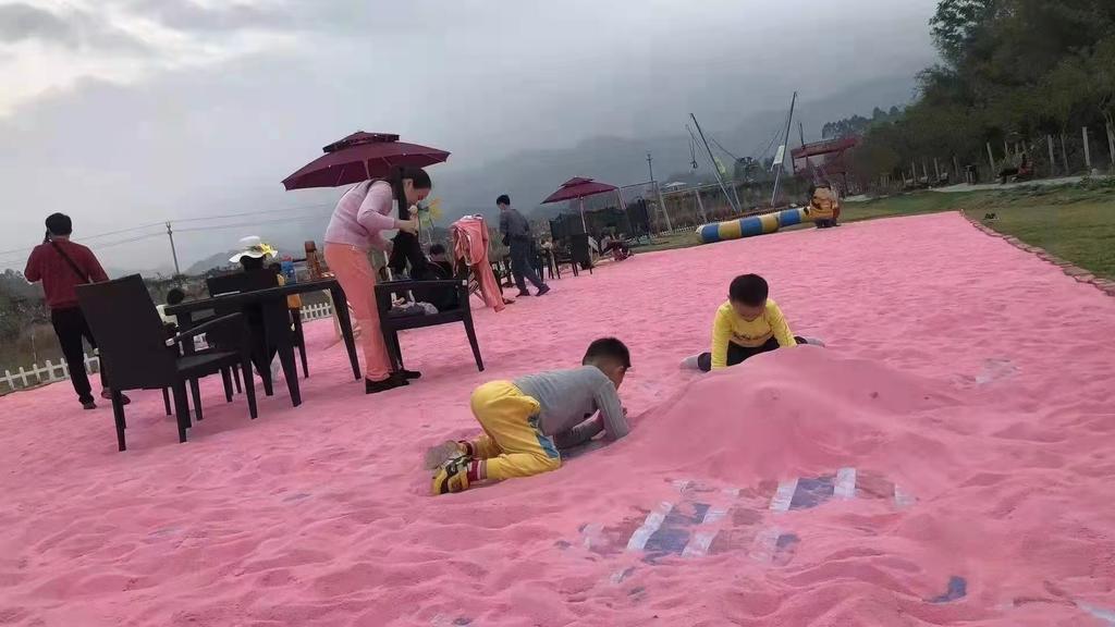 粉红沙滩 粉色沙滩 网红沙滩