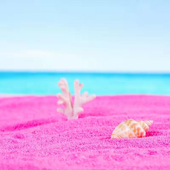 粉红沙滩 粉色沙滩 网红沙滩