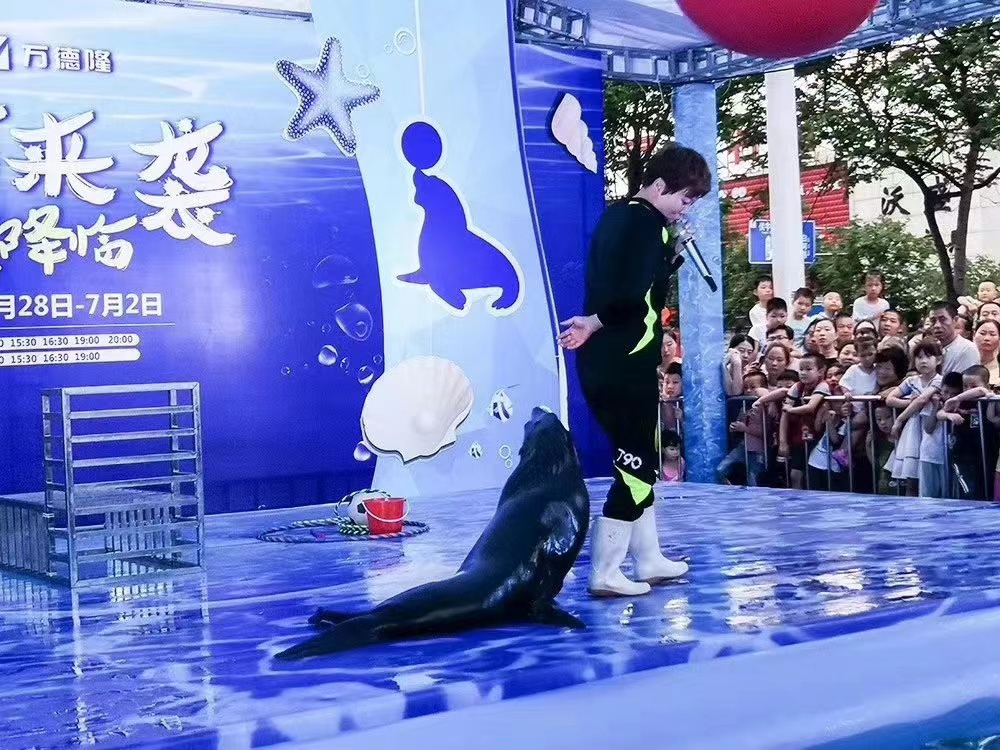 暖场引流暖场活动海狮表演吸引人气