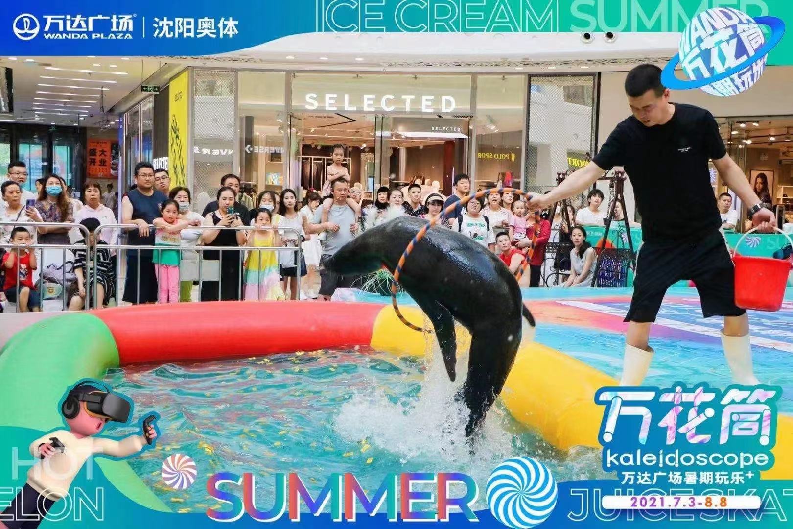 暖场引流暖场活动海狮表演吸引人气