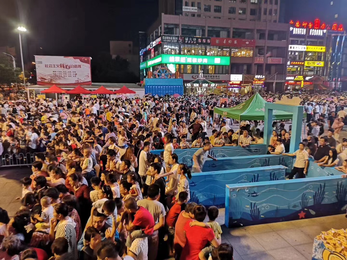 暖场引流暖场活动海狮表演吸引人气