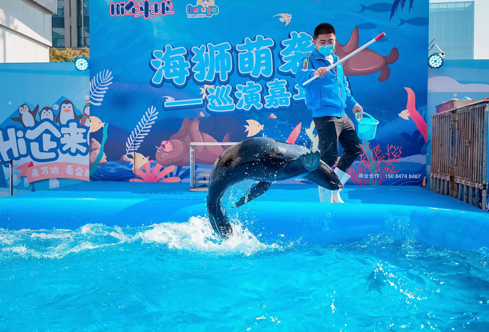 暖场引流海狮表演出租商场活动互动吸引人气