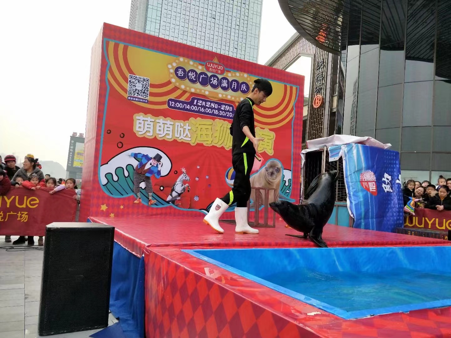 暖场引流海狮表演出租商场活动互动吸引人气