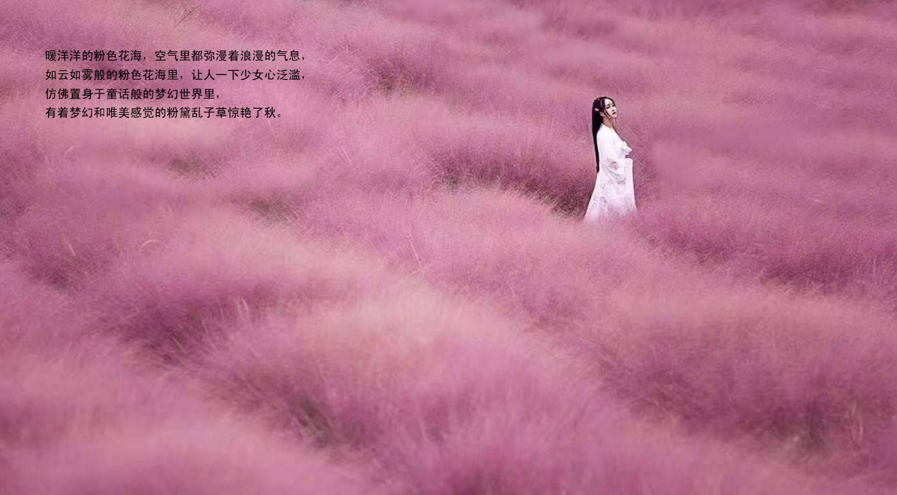 漫由花境 粉黛佳人美陈展