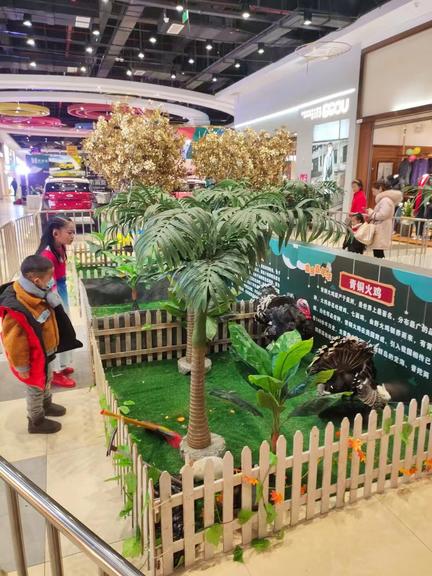 百鸟展出租展览适合景区地产商场暖场引流客源