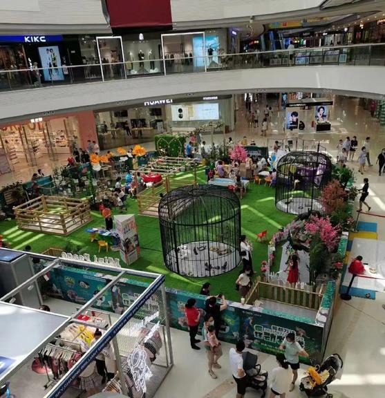 2022新消息：鸵鸟孔雀鹦鹉百鸟展可靠资源