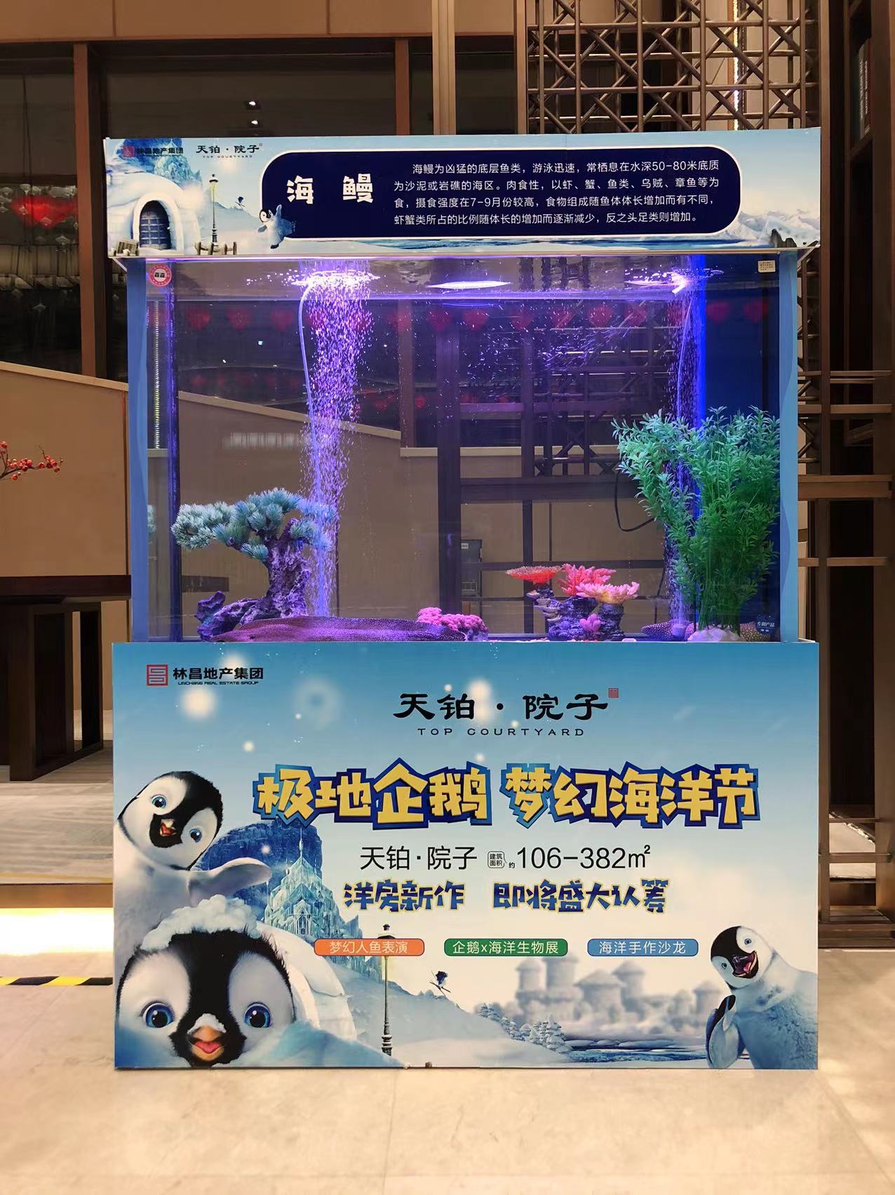 企鹅展览出租海狮表演出租展览引流客源