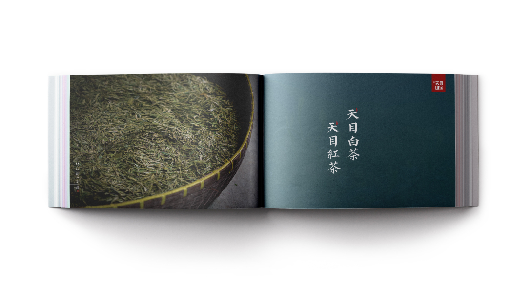 创意者文化——宣传册画册平面设计企业画册茶叶画册茶行业画册茶宣传册画册设计