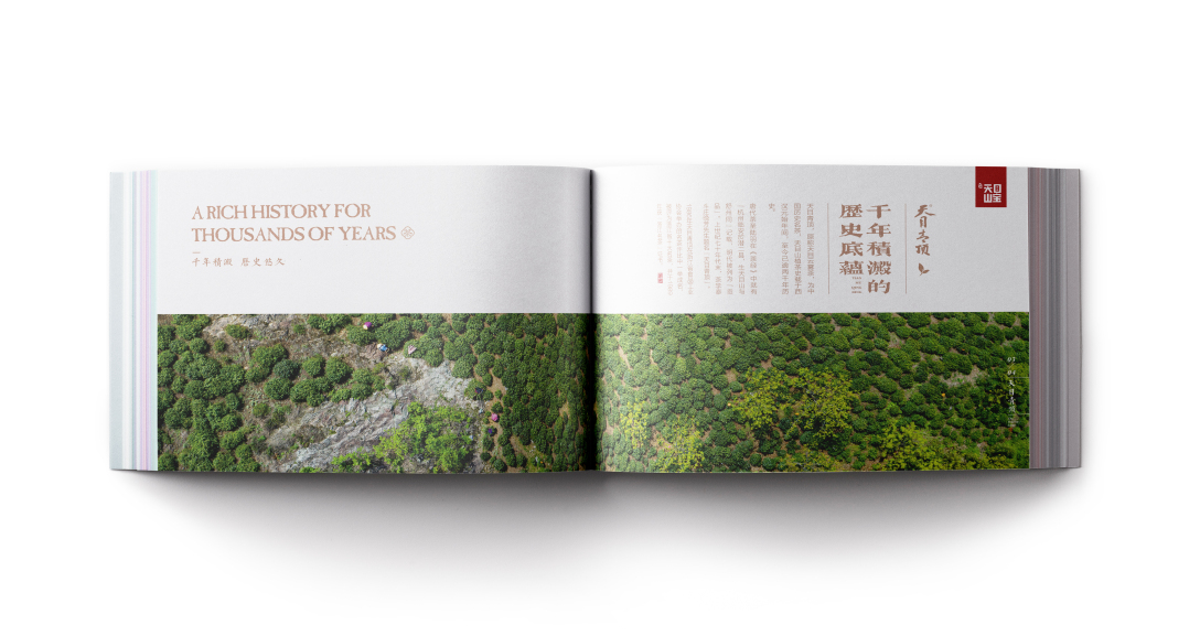 创意者文化——宣传册画册平面设计企业画册茶叶画册茶行业画册茶宣传册画册设计