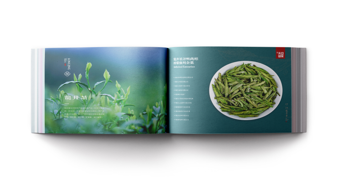 创意者文化——宣传册画册平面设计企业画册茶叶画册茶行业画册茶宣传册画册设计