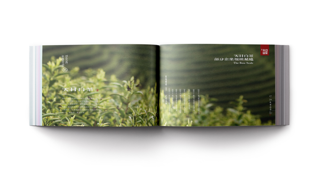 创意者文化——宣传册画册平面设计企业画册茶叶画册茶行业画册茶宣传册画册设计