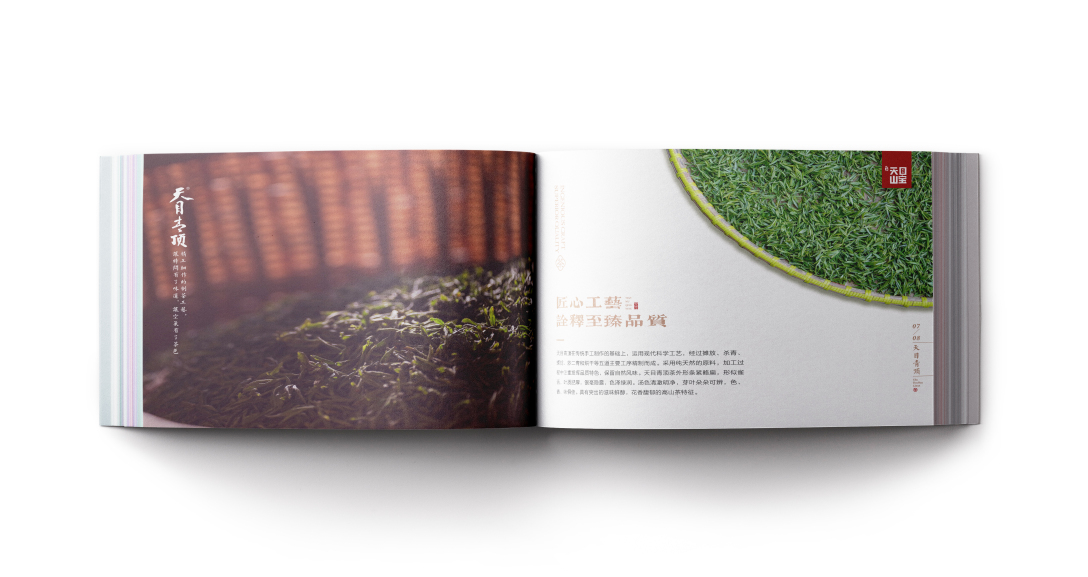 创意者文化——宣传册画册平面设计企业画册茶叶画册茶行业画册茶宣传册画册设计