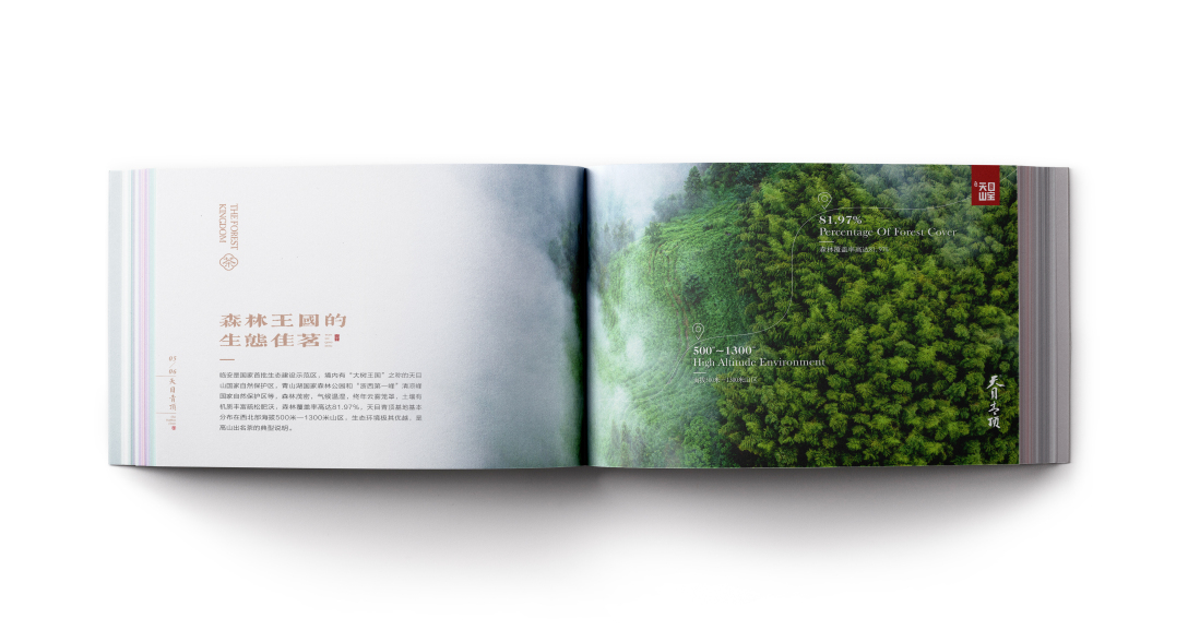 创意者文化——宣传册画册平面设计企业画册茶叶画册茶行业画册茶宣传册画册设计