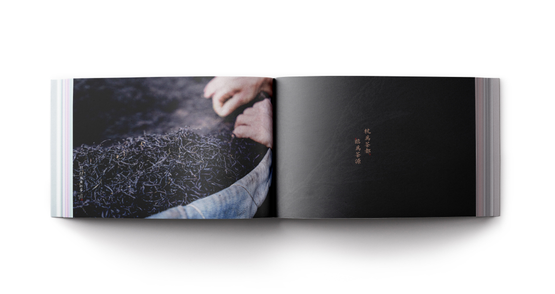 创意者文化——宣传册画册平面设计企业画册茶叶画册茶行业画册茶宣传册画册设计