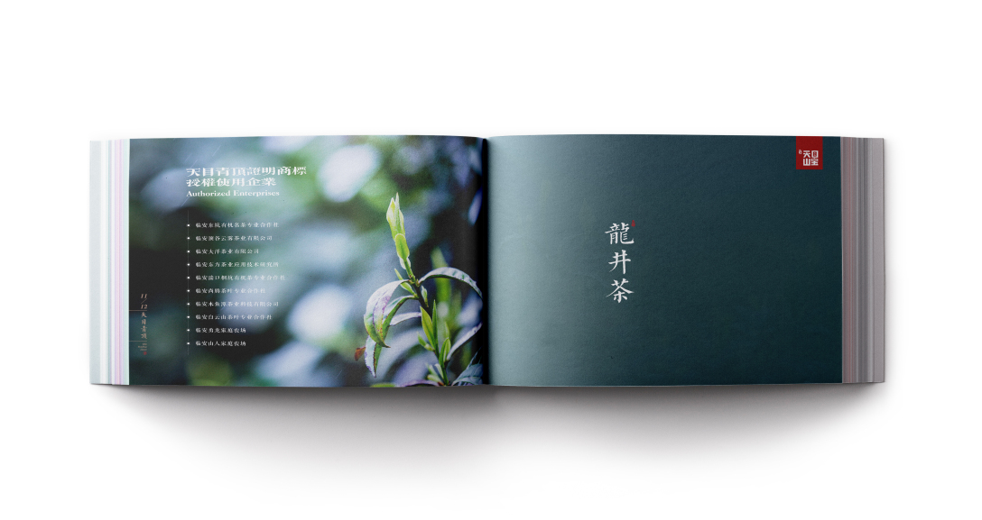 创意者文化——宣传册画册平面设计企业画册茶叶画册茶行业画册茶宣传册画册设计