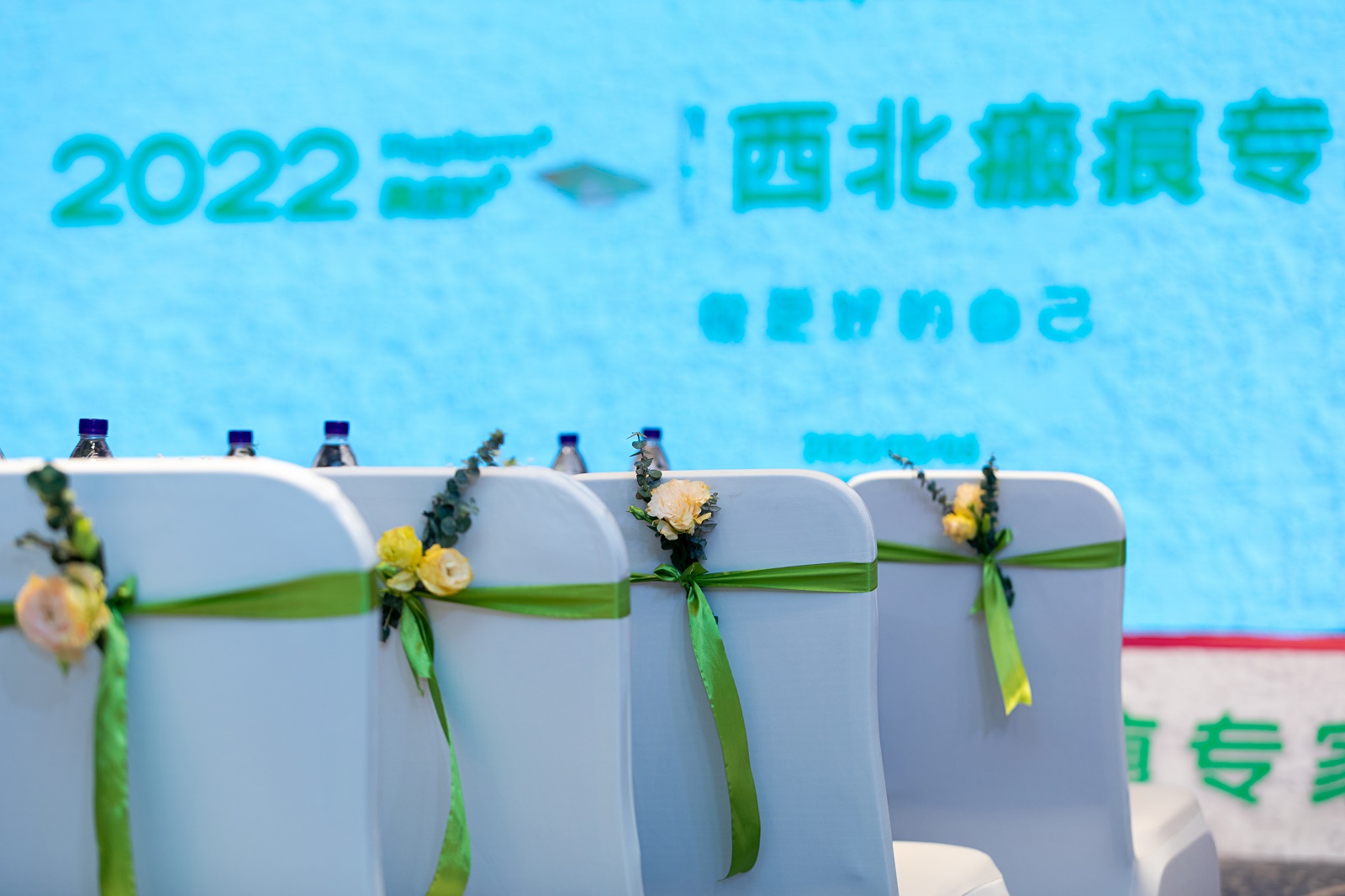 晟逸广告——专家咨询会