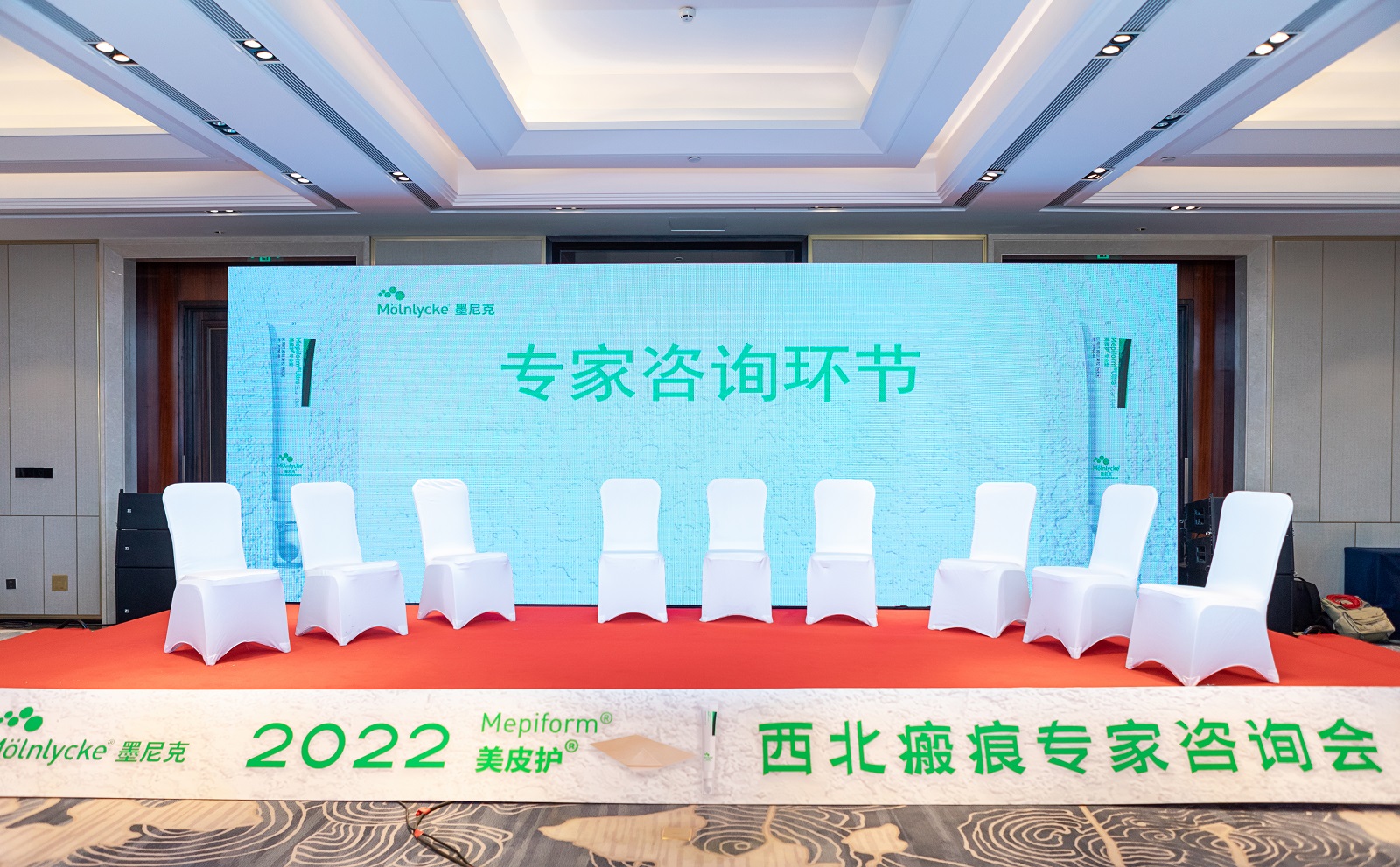 晟逸广告——专家咨询会