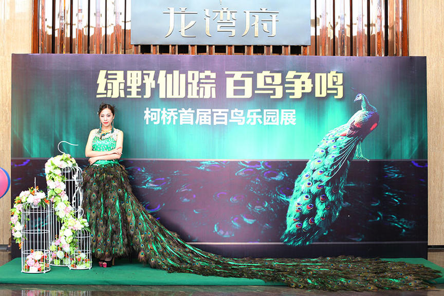 景区策划活动地产暖场策划方案动物助阵引流客源
