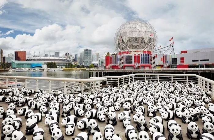 熊猫展可授权玻璃钢熊猫熊猫ip展小熊猫模型租赁出租出售