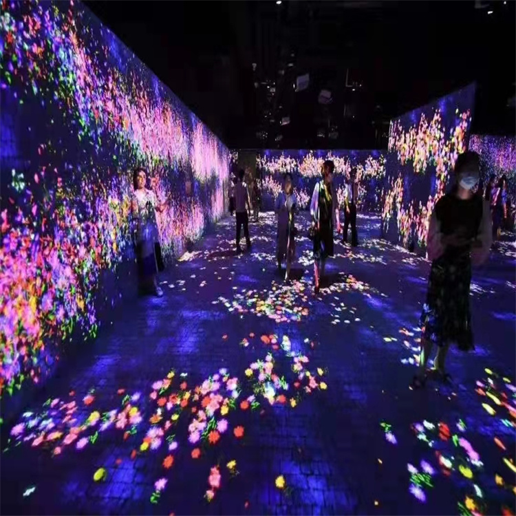 沉浸式互动光影展出租ar互动花海主题租赁梦幻鲸鱼岛租赁