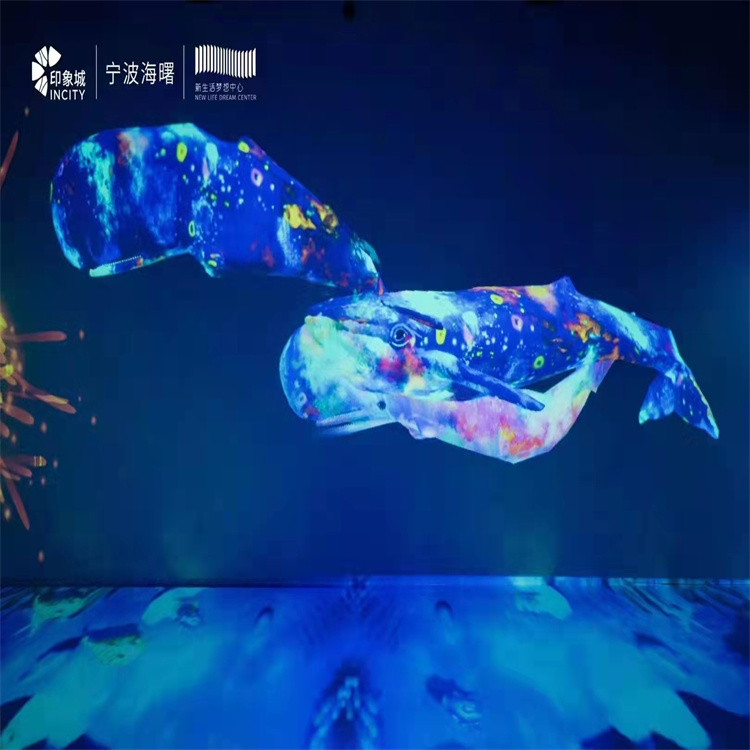 沉浸式全息投影出租ar互动花海主题租赁梦幻鲸鱼岛租赁