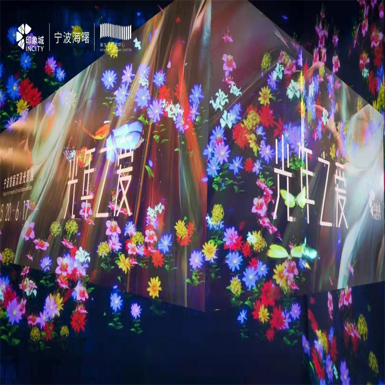 沉浸式全息投影出租ar互动花海主题租赁梦幻鲸鱼岛租赁