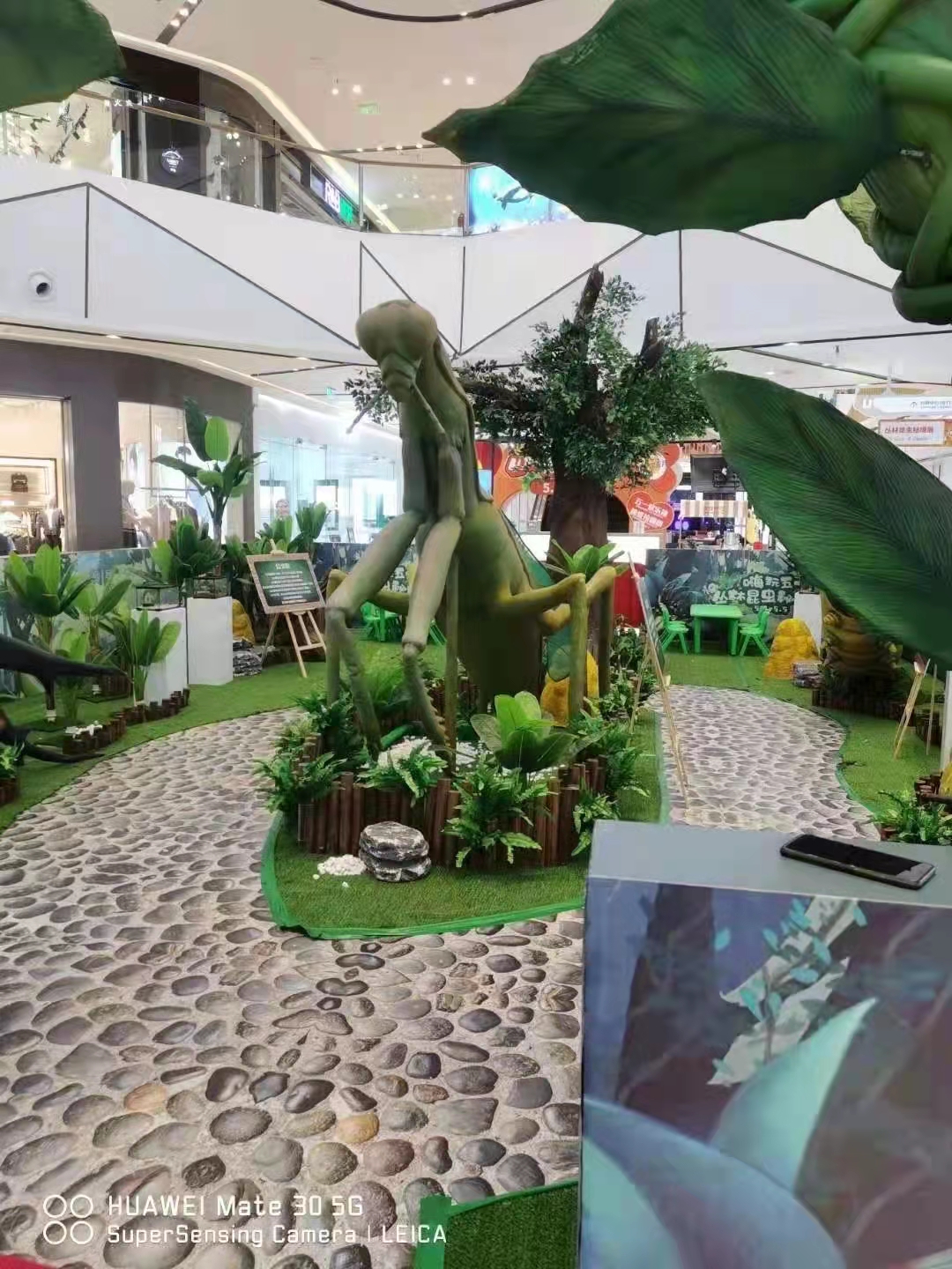 昆虫展 仿真昆虫出租 亚马逊巨型昆虫出租出售