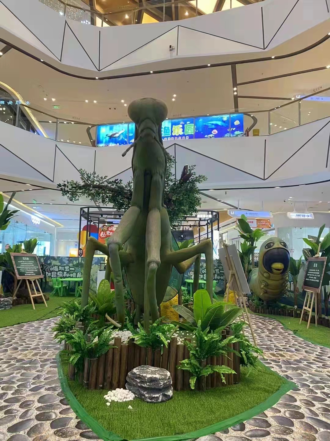 昆虫展 仿真昆虫出租 亚马逊巨型昆虫出租出售