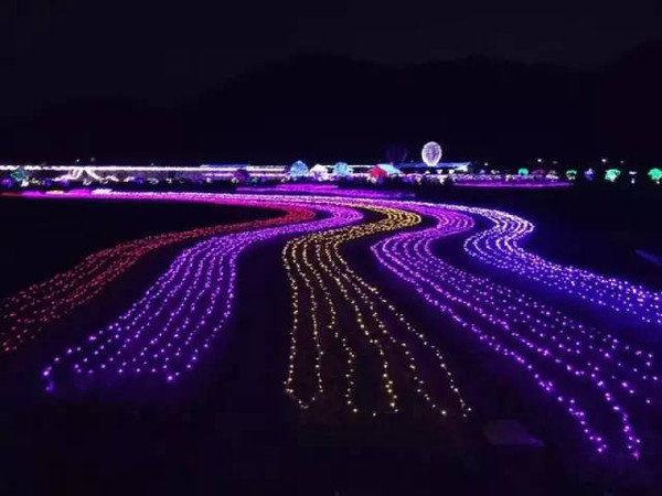 梦幻灯光节 灯光展造型展览出租 灯光美晨展