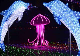 梦幻灯光节 灯光展造型展览出租 灯光美晨展
