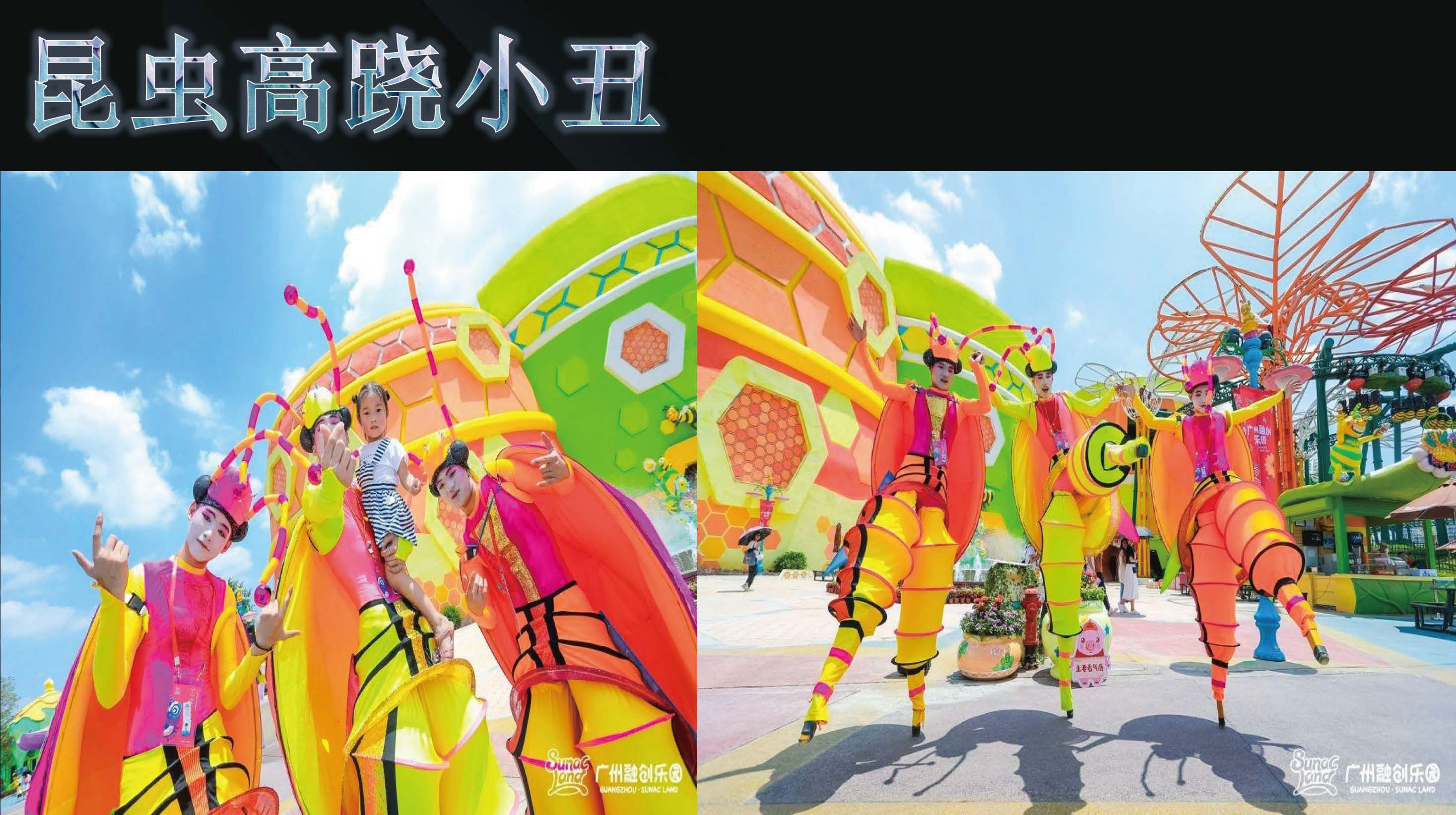 日出特色节目
