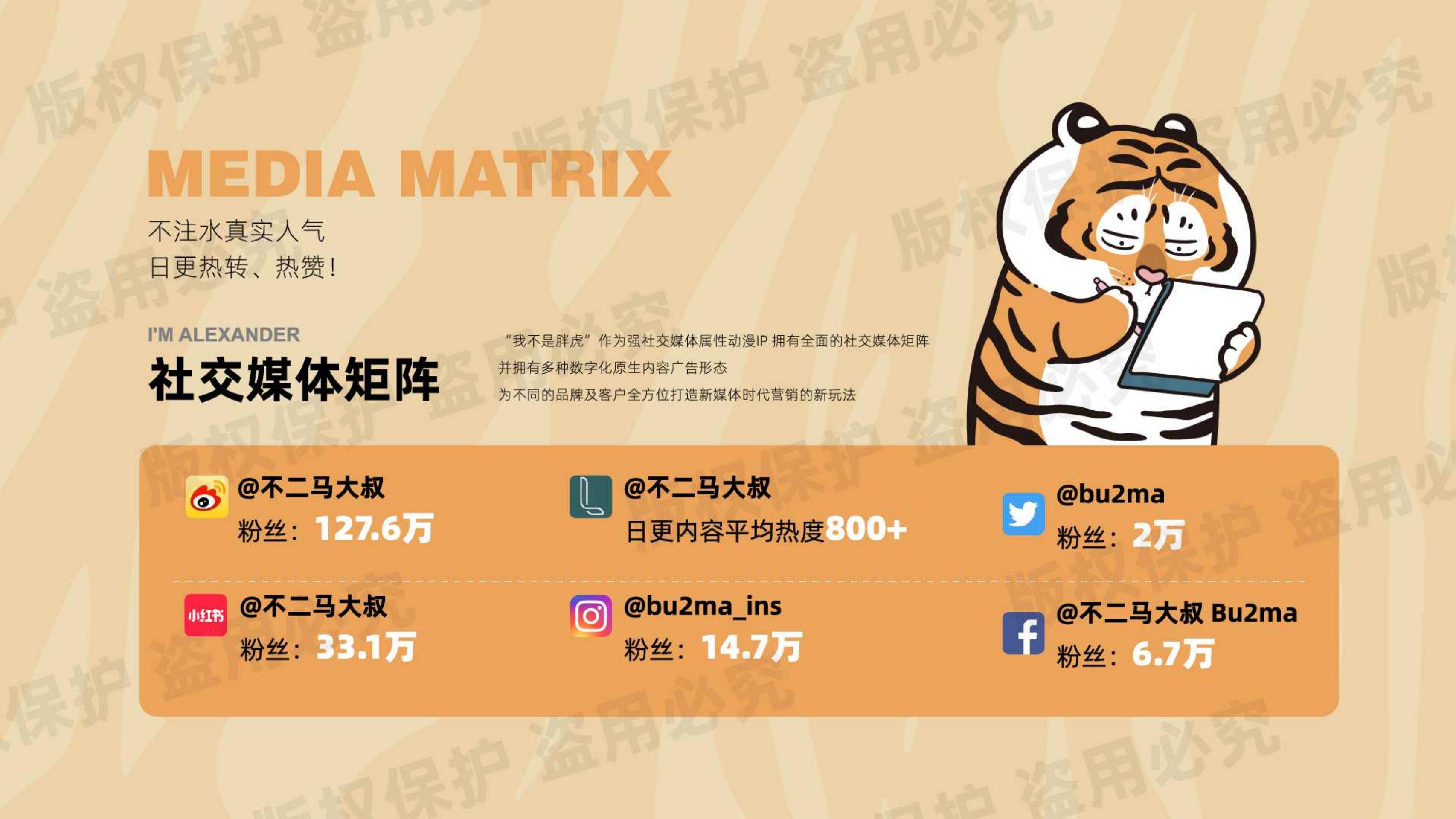 我不是胖虎 - 露营篇（版权+落地费整体45-50万）