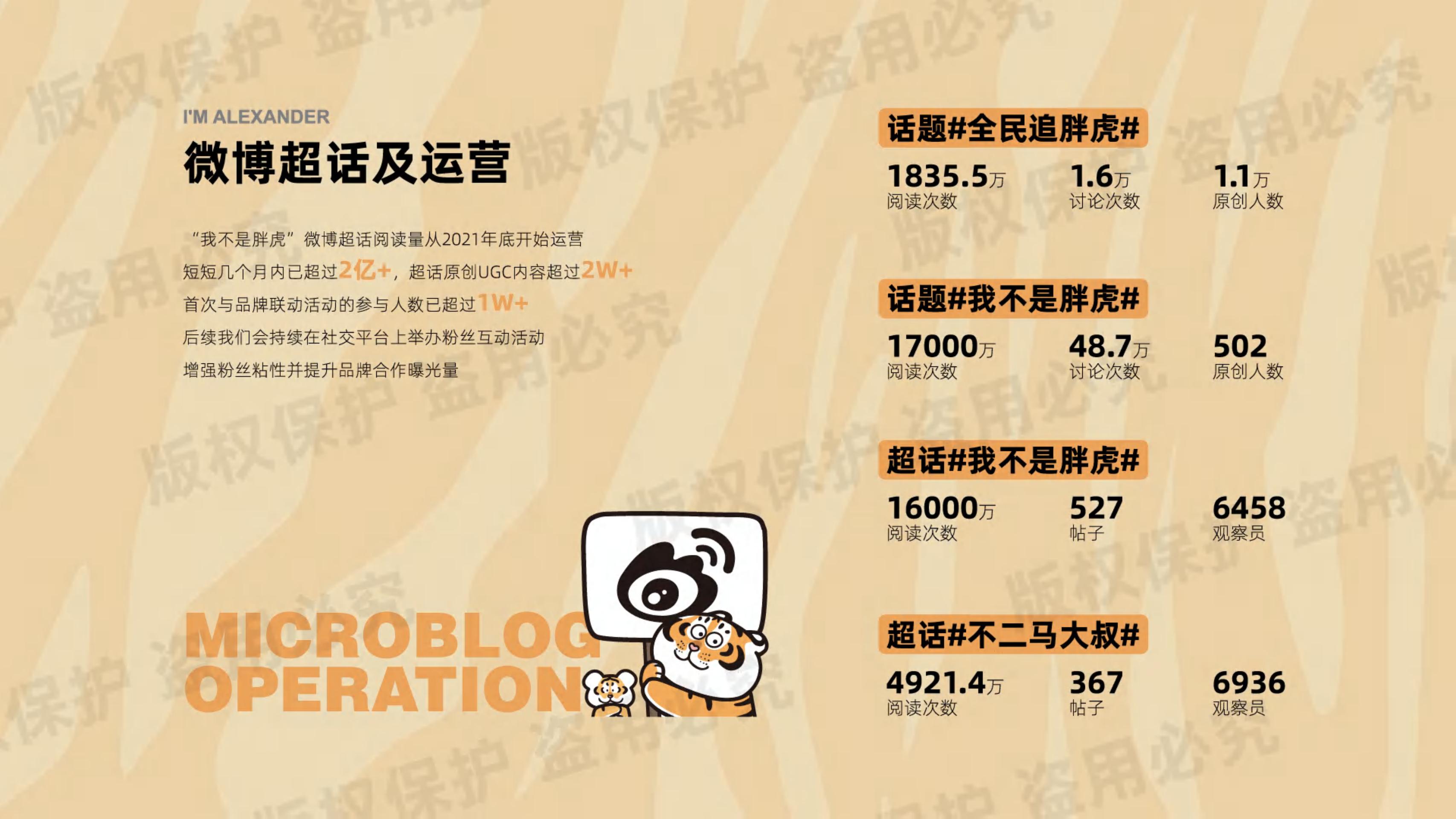 我不是胖虎 - 露营篇（版权+落地费整体45-50万）