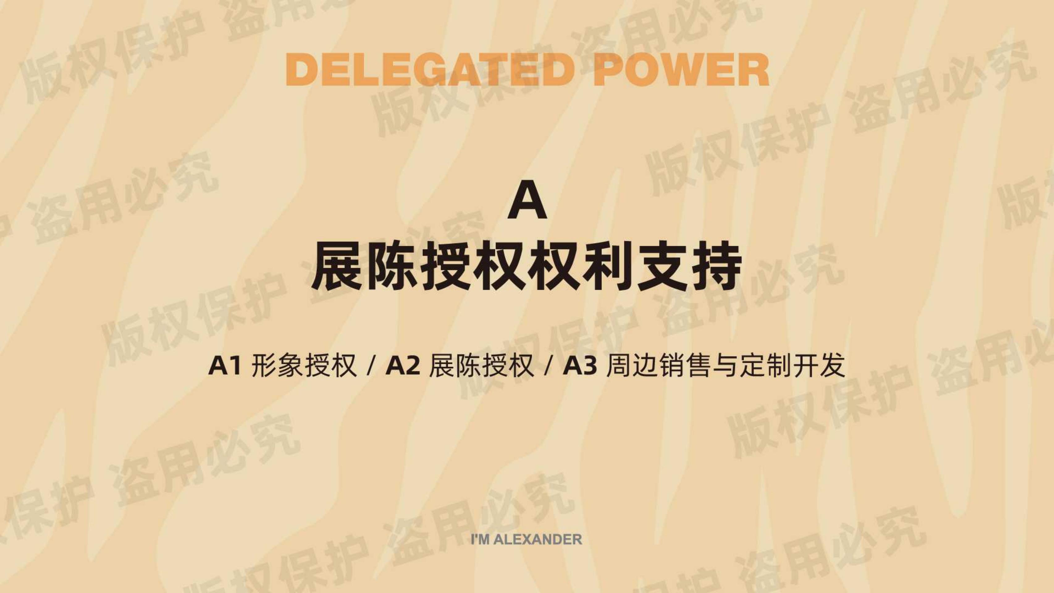 我不是胖虎 - 露营篇（版权+落地费整体45-50万）