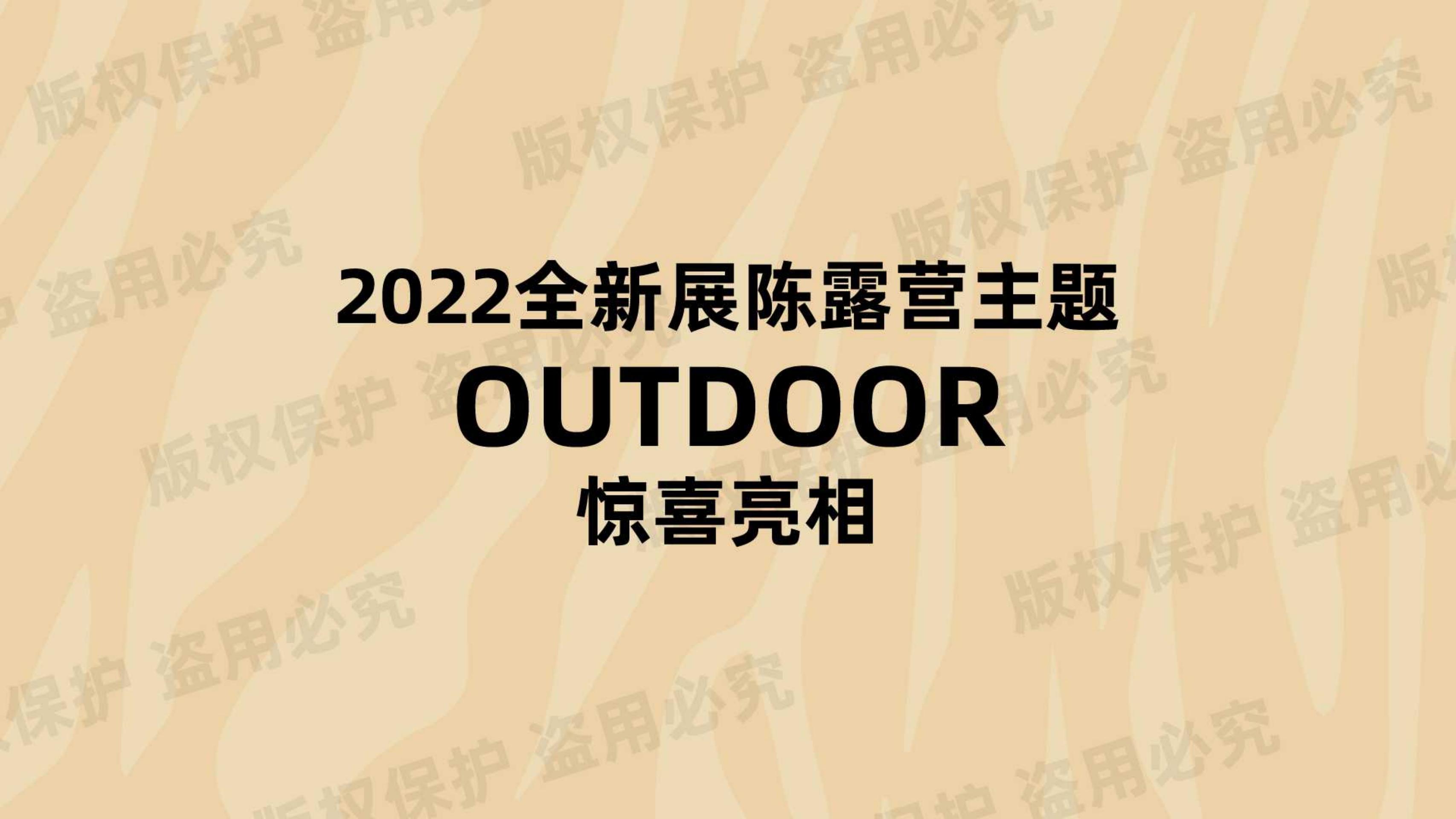 我不是胖虎 - 露营篇（版权+落地费整体45-50万）
