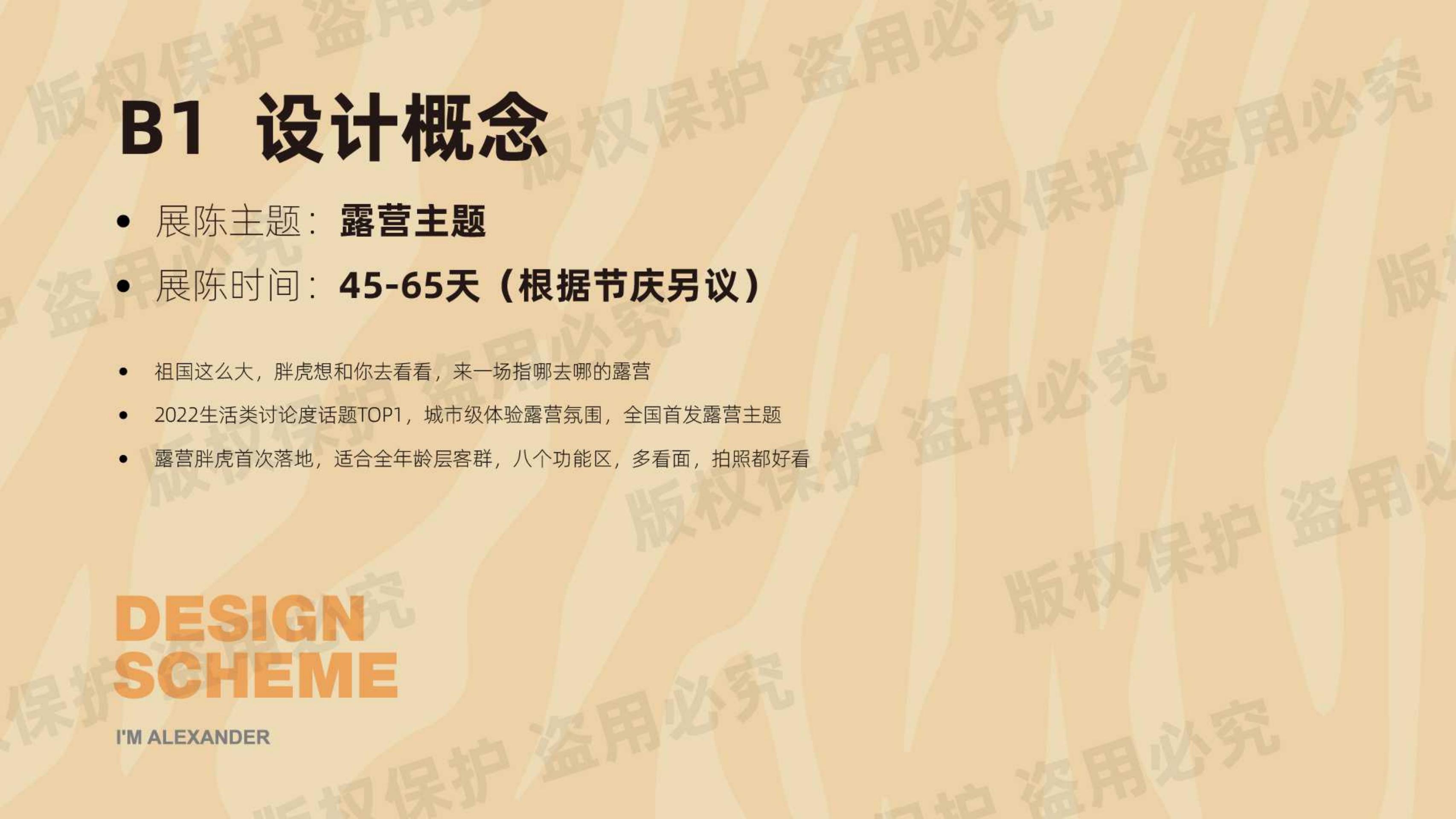 我不是胖虎 - 露营篇（版权+落地费整体45-50万）