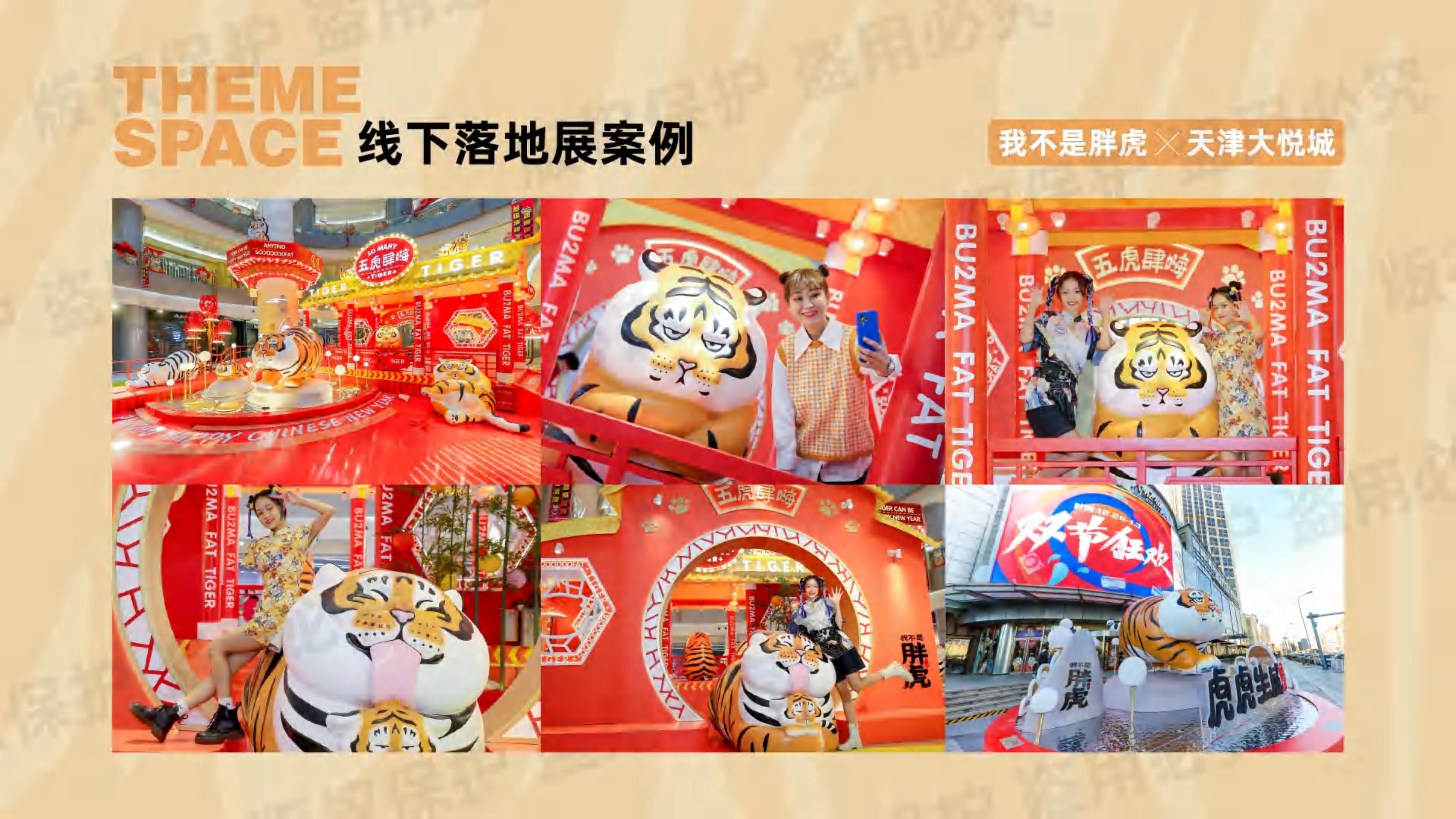 我不是胖虎 - 露营篇（版权+落地费整体45-50万）