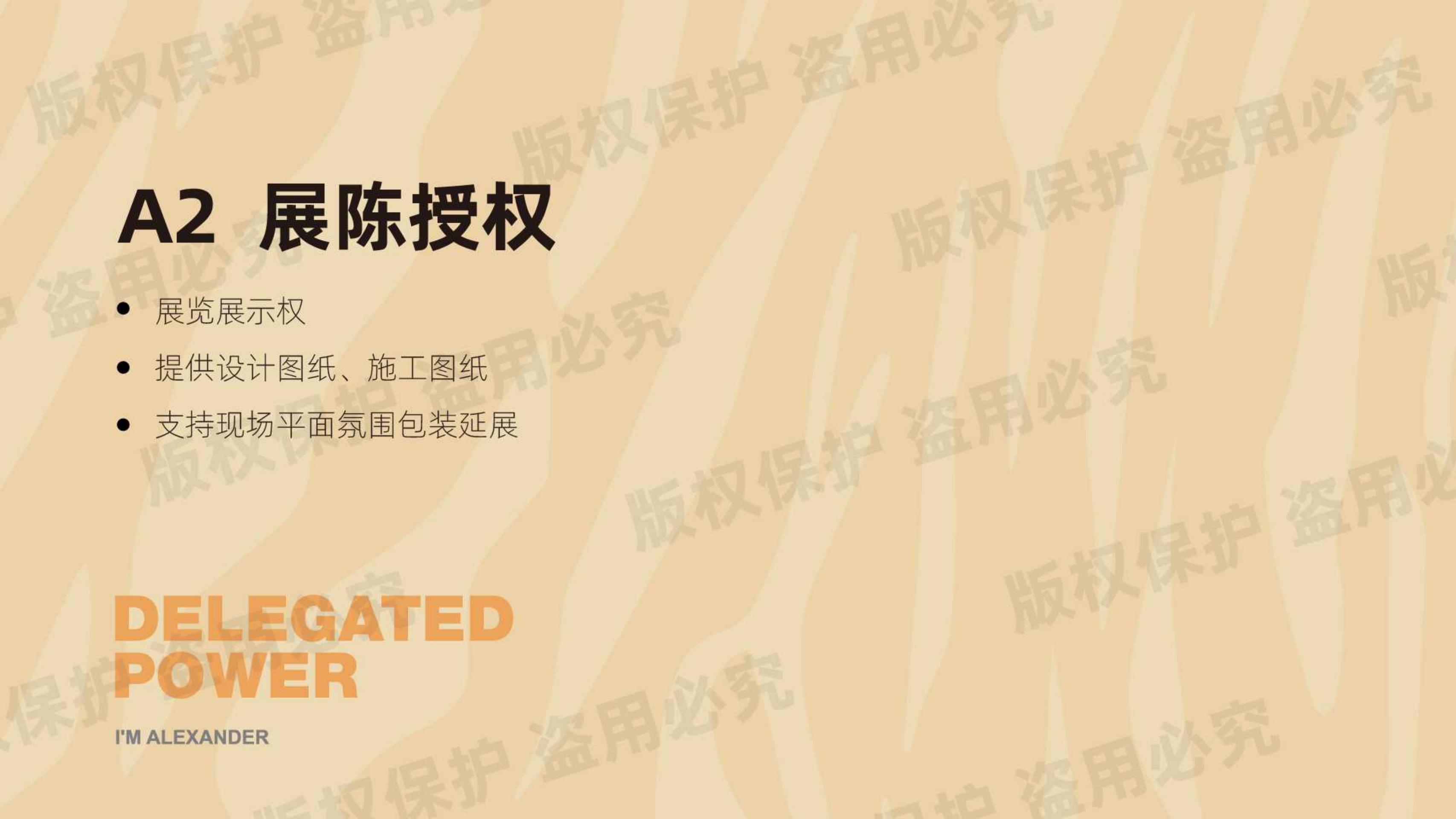 我不是胖虎 - 露营篇（版权+落地费整体45-50万）