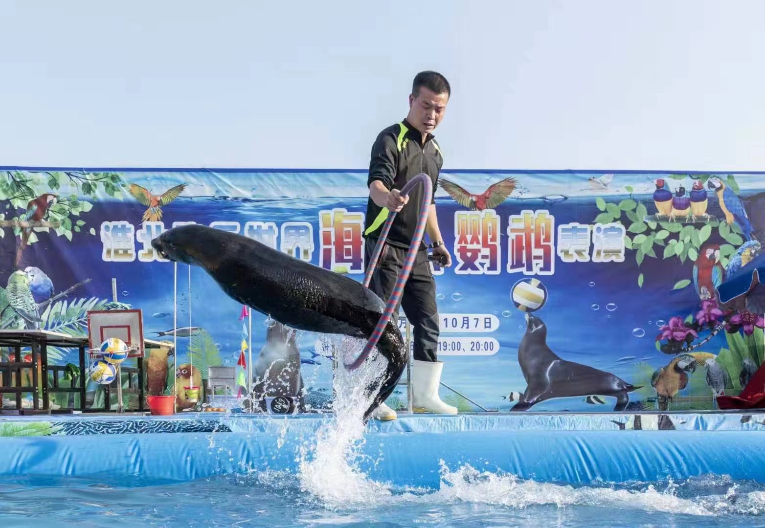 海狮表演出租 地产商场暖场活动