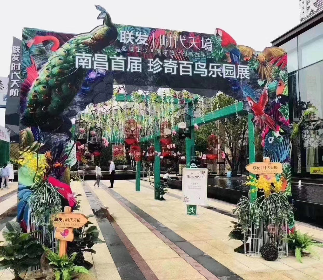 <font style="color: #FF8F00 !important;">鹦鹉表演</font>出租 地产商场暖场活动