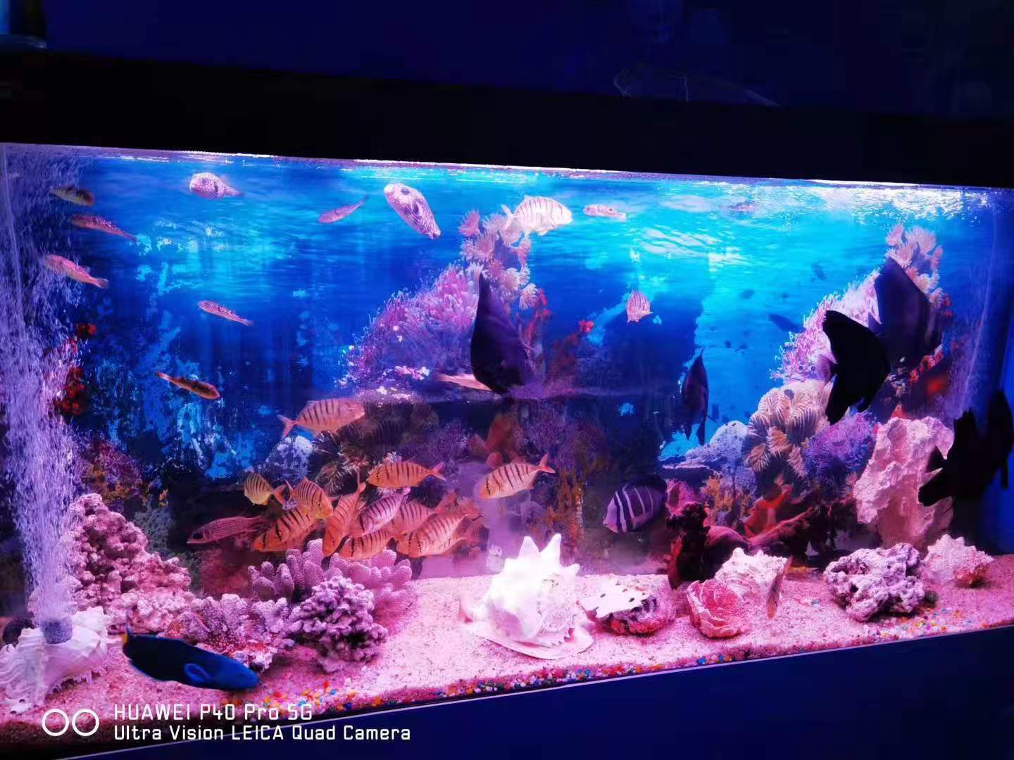 海洋展租赁  暖场互动