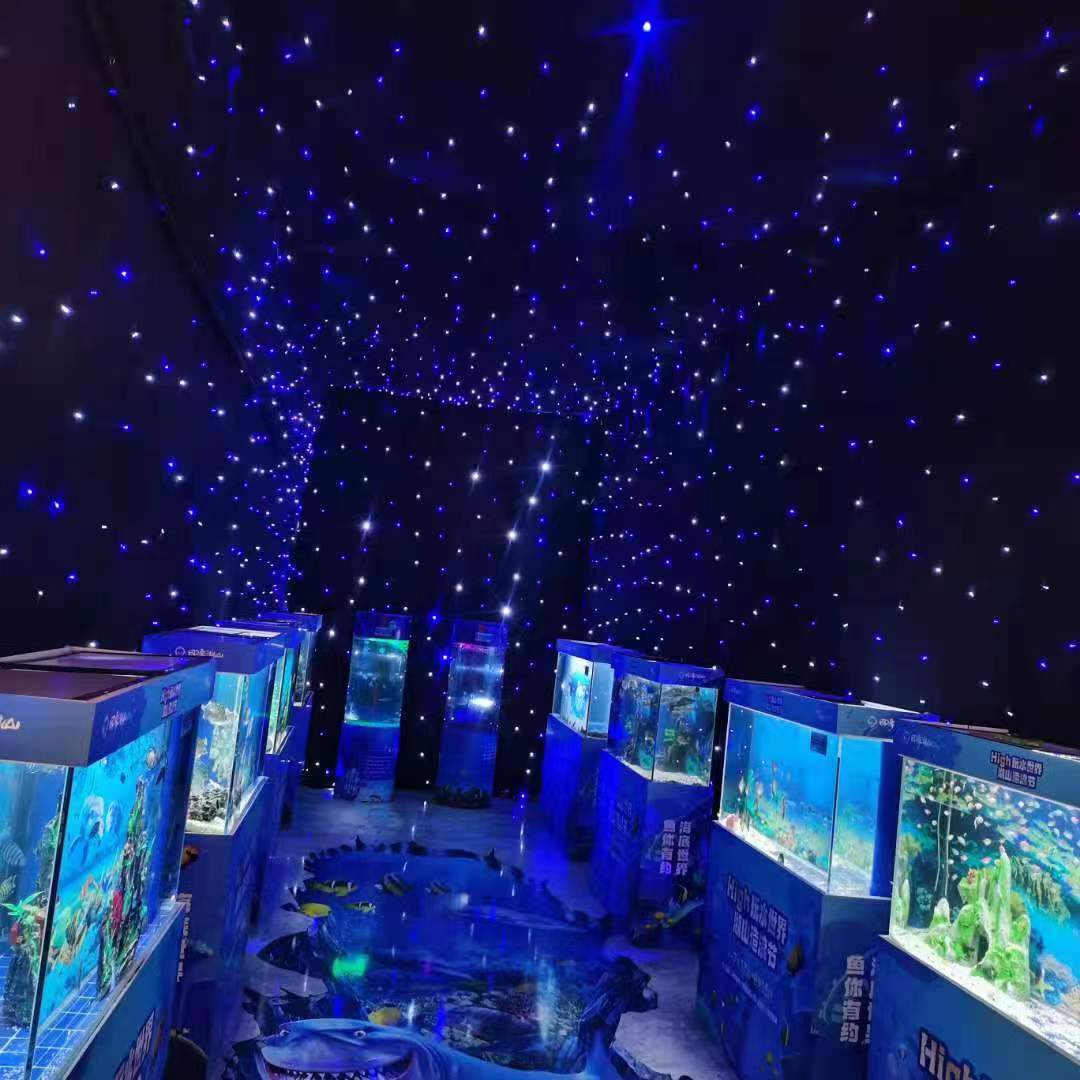 海洋展租赁  暖场互动