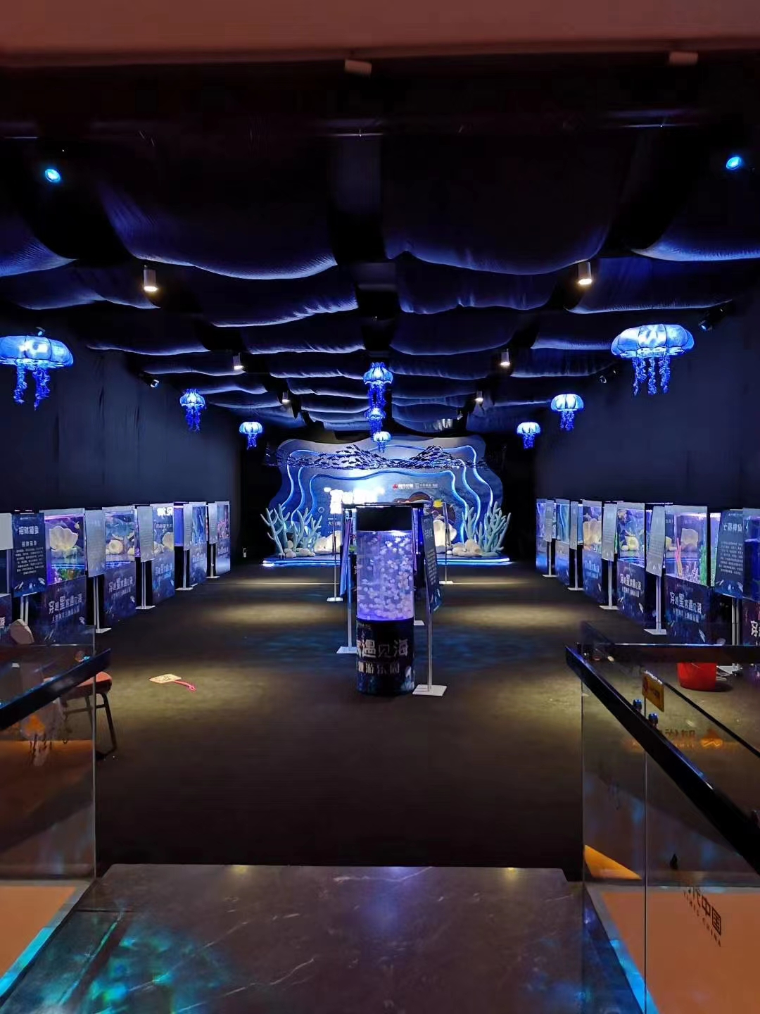海洋展租赁  暖场互动